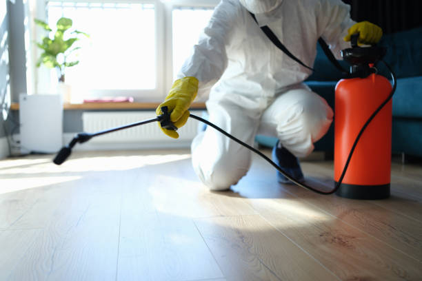 Reliable Infectious Disease Decontamination contractor in Elberta, UT by Trauma Clean Pros